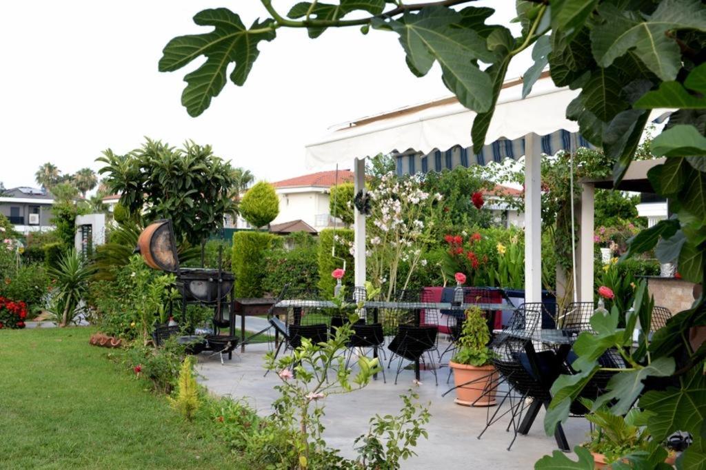 Mandalina Apartments Ağva Exterior foto